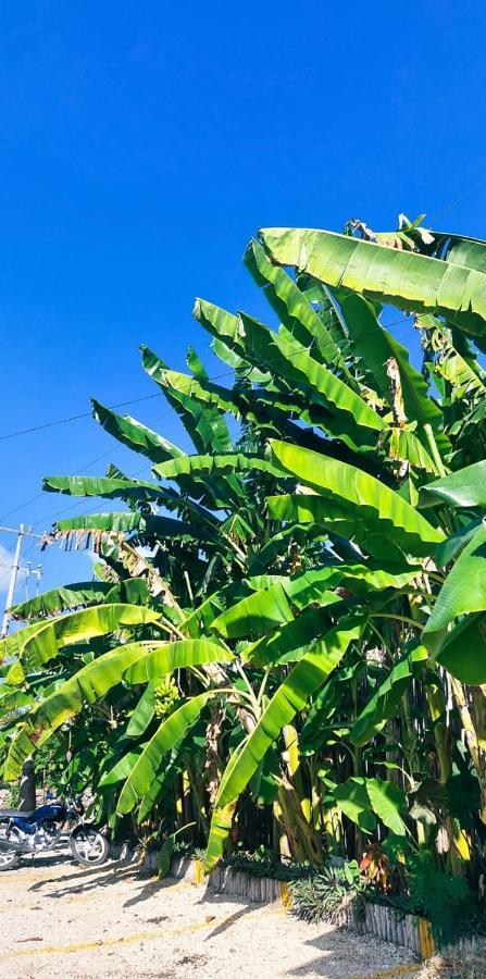 Hotel Xa'An Bacalar Dış mekan fotoğraf